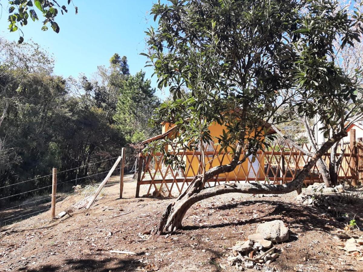 הוילה סנטו אנטוניו דו פינהאל Casa Kiiro, Um Ambiente Tranquilo E De Sossego. מראה חיצוני תמונה