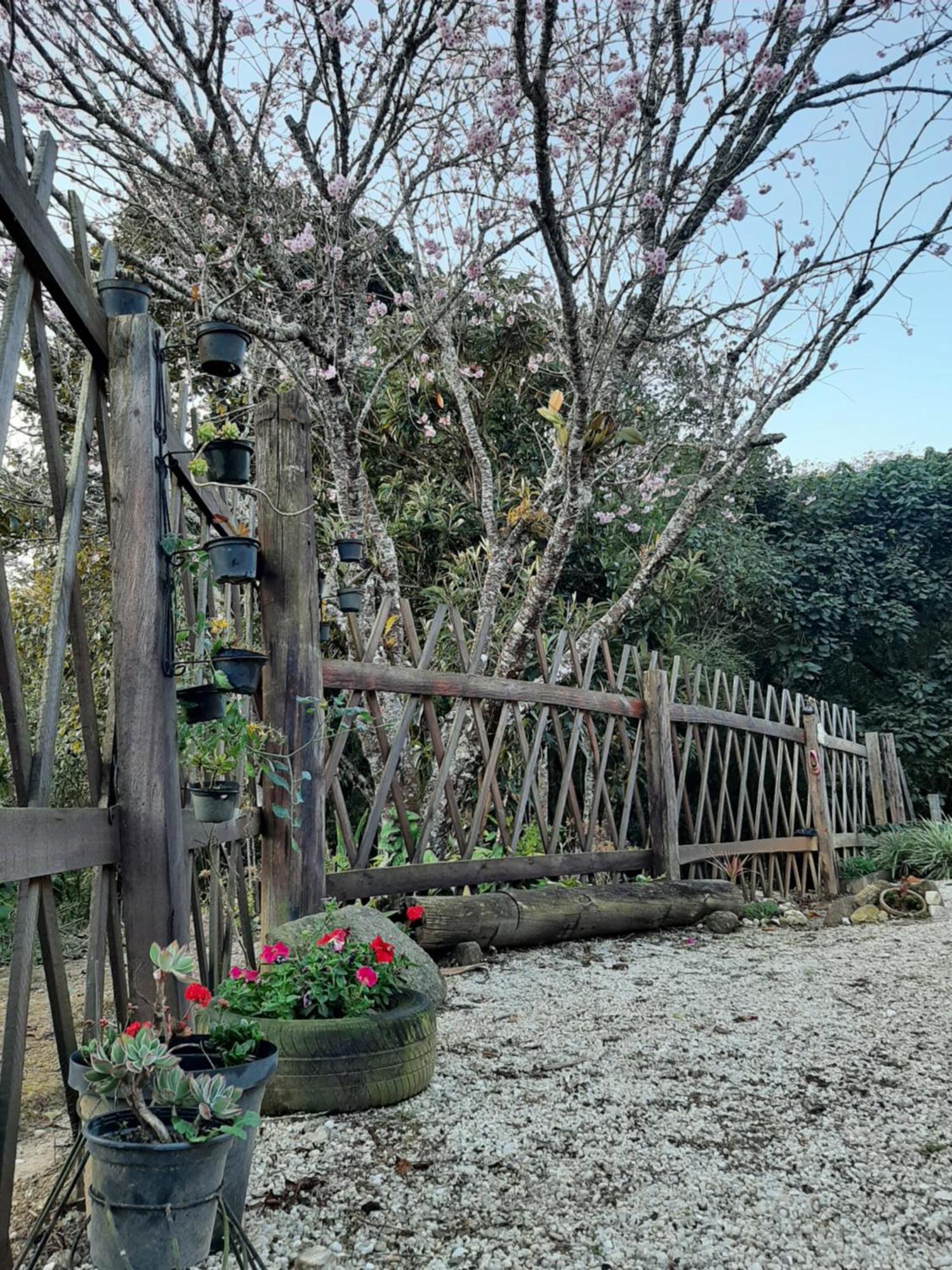 הוילה סנטו אנטוניו דו פינהאל Casa Kiiro, Um Ambiente Tranquilo E De Sossego. מראה חיצוני תמונה