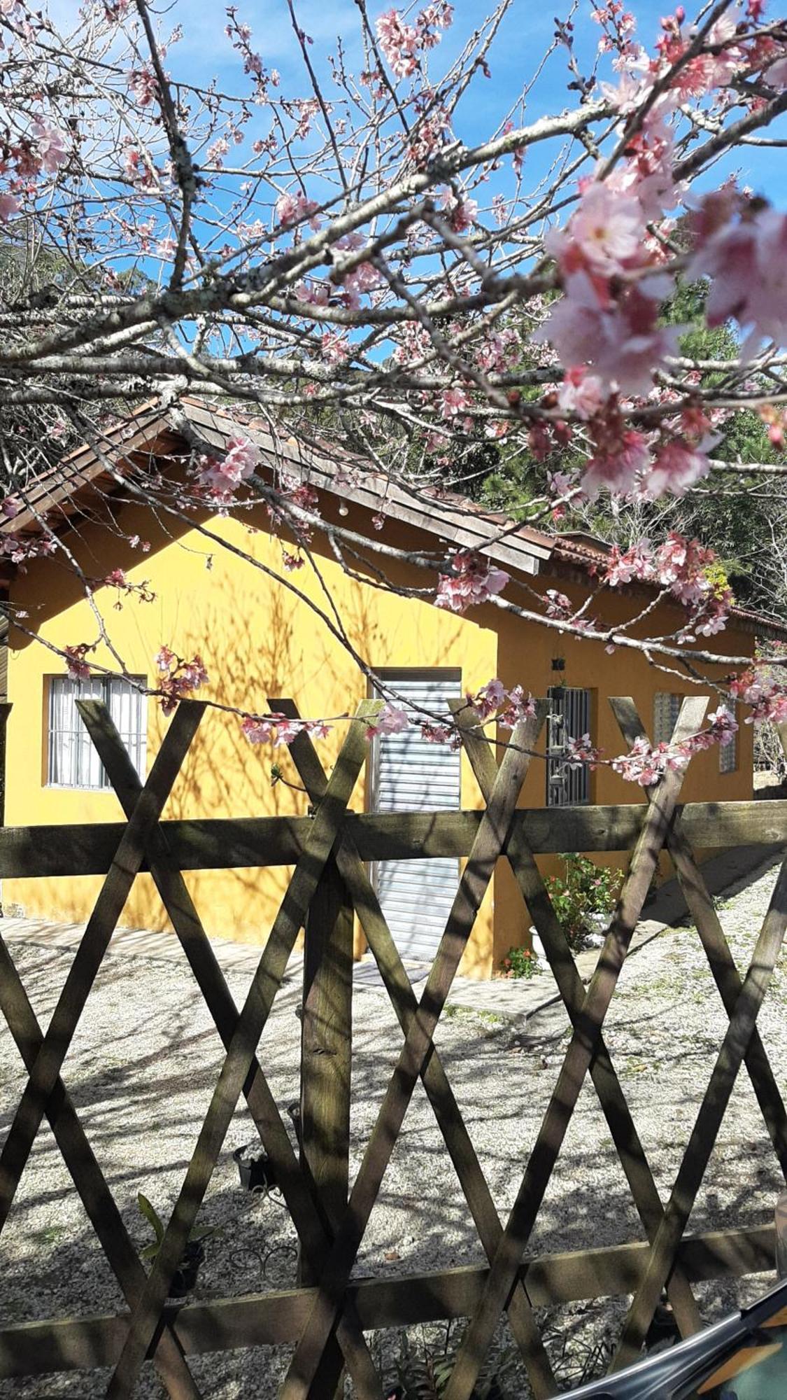 הוילה סנטו אנטוניו דו פינהאל Casa Kiiro, Um Ambiente Tranquilo E De Sossego. מראה חיצוני תמונה